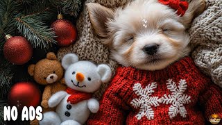 12 HOURS of Dog Calming Music for Dogs🐶Long Background Sounds for Happy Dogs at Home💖No Ads