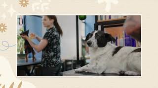 Supporting Abandoned and Street Animals!#animalshelter  #rescueanimals  #adoptme