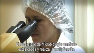 Alltech Sao Pedro Tour Video Spanish
