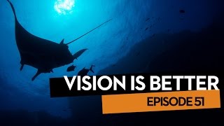 Vision Is Better, Ep.51 The Giant Mantas of Socorro and Submission