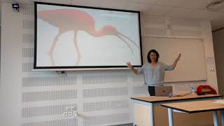 Angela Potochnik, Causal Patterns and How Our Theories Change