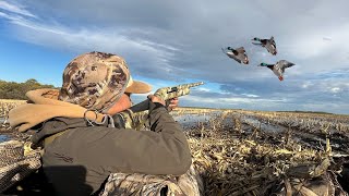 WALK-IN Flooded Corn Duck Hunting! (2 MAN LIMIT)