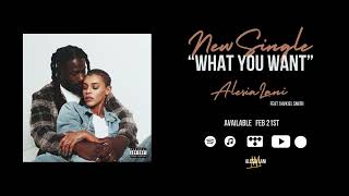 Alesia Lani - What You Want feat Shvkiel (New Single)