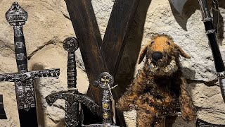 DDR: Deutschland Dackel Rally – Nürnberg–Rothenburg