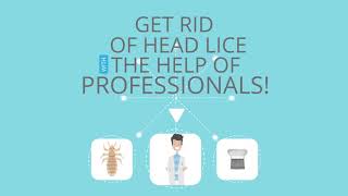 Frustrated on Dealing with Head lice Infestation? Call Lice Troopers
