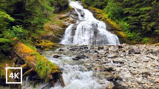 4K Deep Forest Waterfall | Relaxing Nature Ambience | Forest River Nature Sounds for Sleep & Study