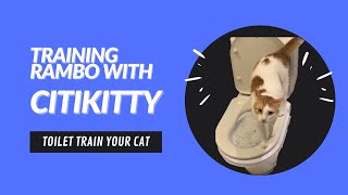 I tried toilet training my cat with CitiKitty