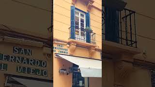 Malaga Cruise Stop Walking Tour - Calm Before the Storm - Waterfront Pier, Calle Larios, Market Stop