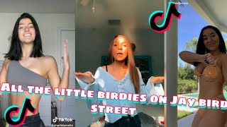 All the Little Birdies on Jaybird street| NEW Tiktok Dance| Tiktok 2020
