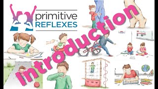 Hello and Welcome To Primitive Reflexes