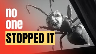 The 1963 TV Episode That Still Feels Wrong TODAY - The Outer Limits (1963)