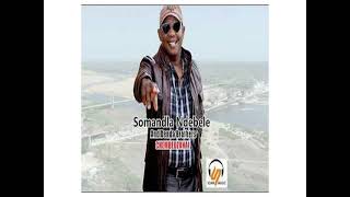 Somandla Ndebele Denda Brothers_Chembedzanai_2025