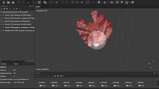 HIMB Summer Workshop - 3D Photogrammetry walk-through
