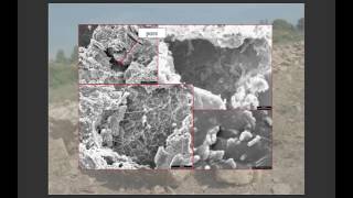 Suggestions for a correct environmental management of rock fragments during the reclamation of rocky