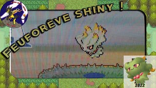[LIVE][WSHC#3] Shiny Misdreavus/ Feufo Shiny après 5380 RE's sur Pokémon HearGold (Safari)