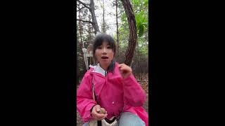 Relaxing Animals & Country Life Live