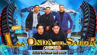 La onda del Sabor Zapateados 2024 audios en vivo y en directo #internacional #orquestaenvivo👉🦁📸🇪🇨🌍🎛💯