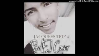 Trip (RealEJ Cover)