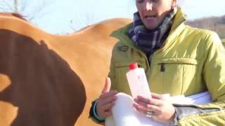 Mattes Pads - Part 7: Cleaning Your Mattes Pad