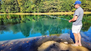 Urban Pond Is LOADED WITH FISH!!! (Fishing Competition)