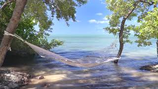 Música Relajante para Descansar la Mentes, Ansiedad, Relajarse y Dormir Estrés 720p 2021
