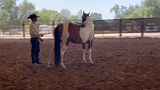 Hyper Horse Tips