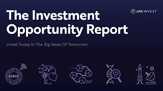 The Investment Opportunity Report