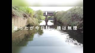 小出川付近