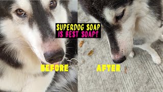 We Tried The SUPERDOG SOAP