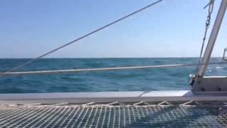 Malaga 3