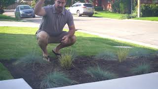 Creating a Stunning Landscape with almost ZERO Florals Part 2