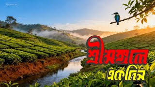 || শ্রীমঙ্গল || Srimangal Tea Gardens: From Leaf to Cup ||