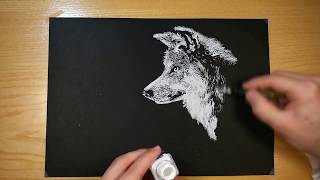 Drawing: White Wolf (glass dip pen + inkwell)