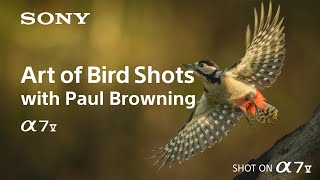 Alpha 7 V x Birds | Sony | α