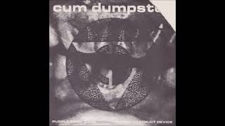 Cum Dumpster - "Purple Skirt Gang / Mind Destruct Device" (full recording) Michigan Alternative