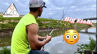 Small creek BIG FISH!
