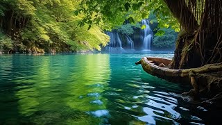 Calming Music For Nerves 🌿Relaxing Music For Stress Relief, Sleep Music, Meditation Music