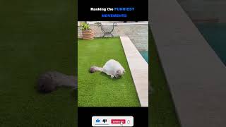 Funny videos 🤣, recently uploaded videos | Ranking the funniest movements  can't stop laughing