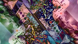 Bastl Thyme + Kastle 2 FX Wizard