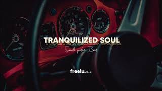Smooth Guitar Beat - Tranquilized Soul (Prod. Freelu)