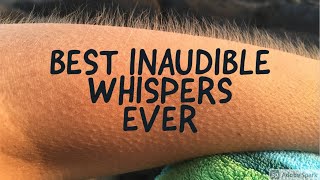 4+ HOURS!! Of The BEST Inaudible/Unintelligible Whispers Of 2024 - ASMR Chess & Risk Gameplay 😴💤