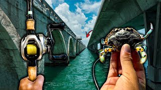 I Fished Every Bridge In The Florida Keys... (Sun Run Ep 1)