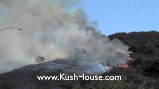Kush House Sep 27  2010  FIRE