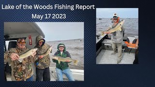 Lake of the Woods Fishing Update