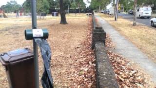 Four Hours Sleep: A Multitude Of Sins