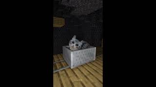 Komaru the Cat in Minecraft (Part 2)