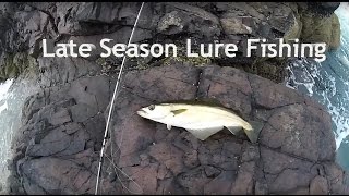 One Last Lure Session
