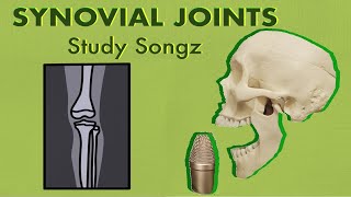 SYNOVIAL JOINTS SONG- Diarthrodial Joints - Study Songz