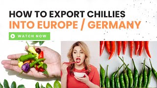 How to Export Chilliest to Europe | Germany | Gulf | Part01 | German Chilies Market Report