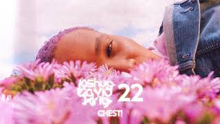 joshua david king - CHEST! (Official Audio)